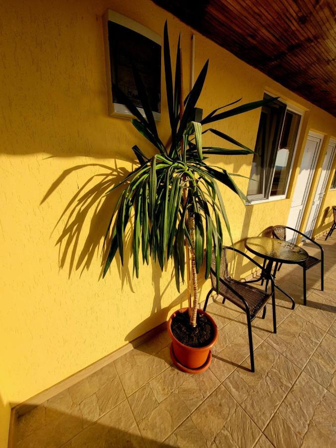 Cabana Varad Coronini Moldova Veche Ngoại thất bức ảnh