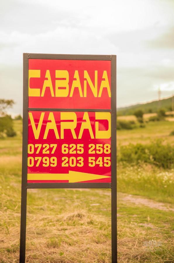 Cabana Varad Coronini Moldova Veche Ngoại thất bức ảnh